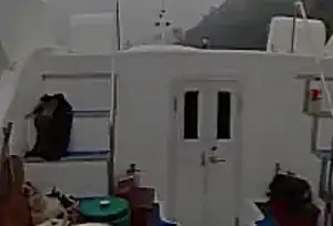 The