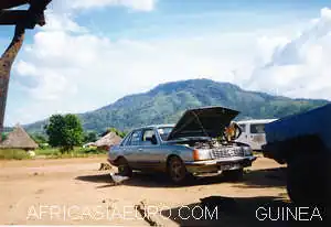Guinea Boula